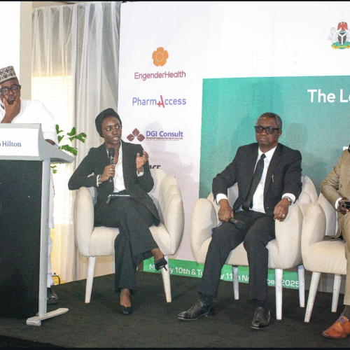 image showing Dr Khadijah Mohammed speaking on a panel at the 6th legislative health summit in Nigeria