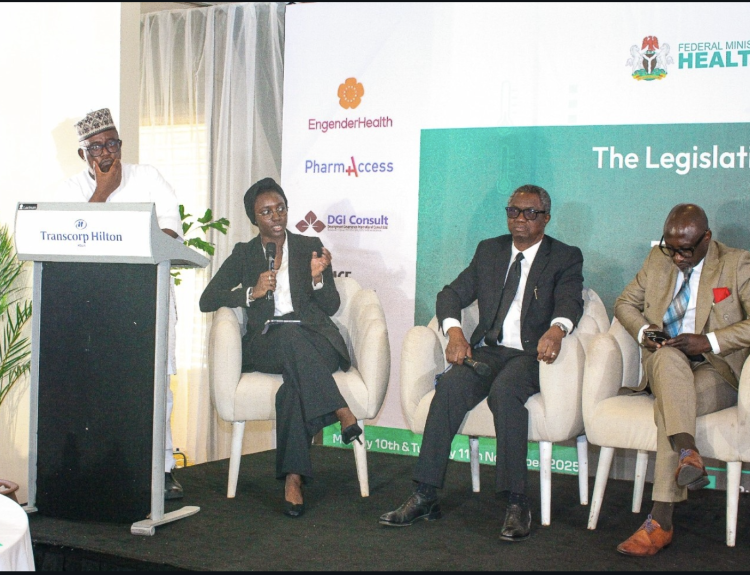image showing Dr Khadijah Mohammed speaking on a panel at the 6th legislative health summit in Nigeria